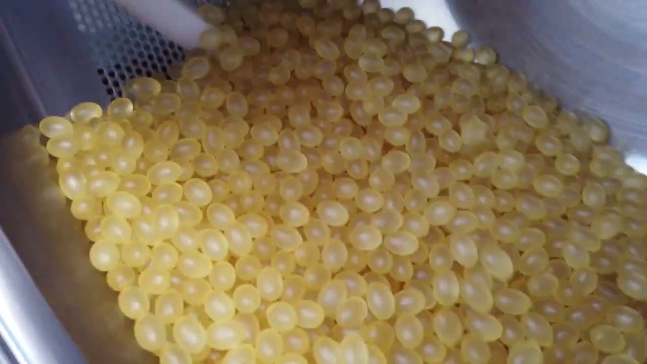 Soft gelatin capsules coated with BonuLac® E & BonuWax® | Process and result | BIOGRUND
