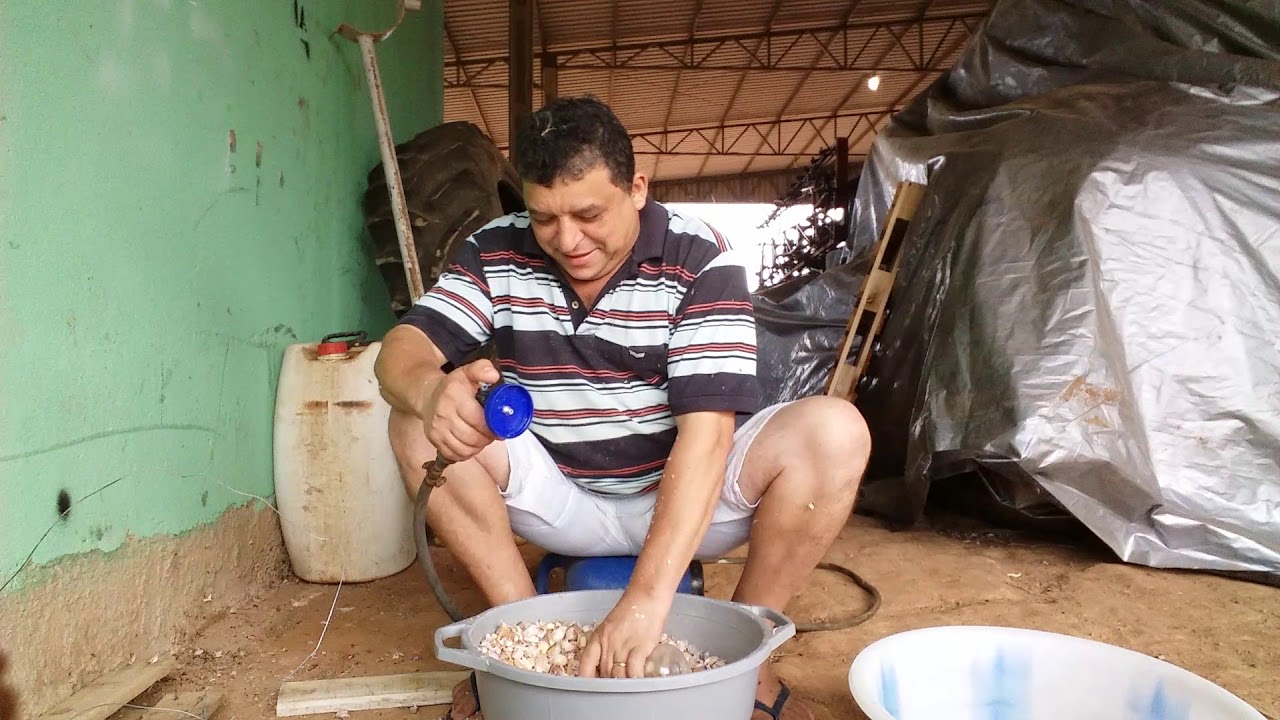 Como descasca alho