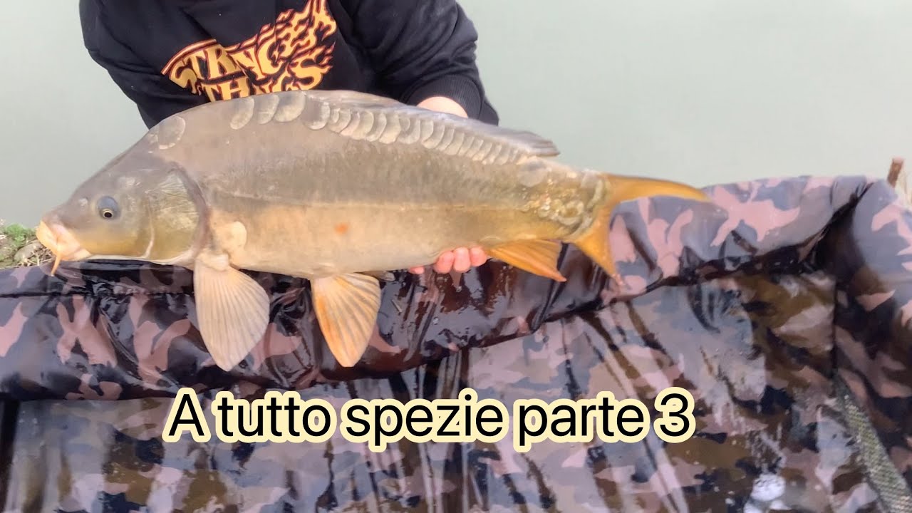 A tutto Spezie / parte 3