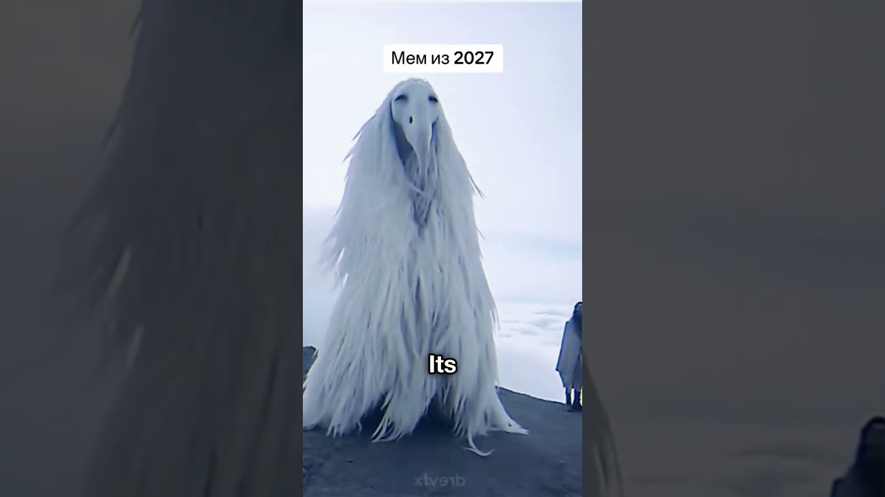 Strange Bird 😨