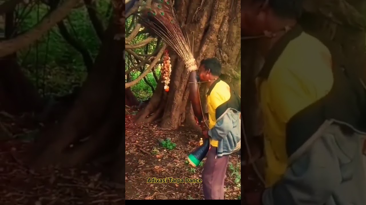 Adivasi Tarpa Dance Real Tarpa Original Tarpa Tokarpada Kaprada Valsad Mauli Tarpa Music Comedy