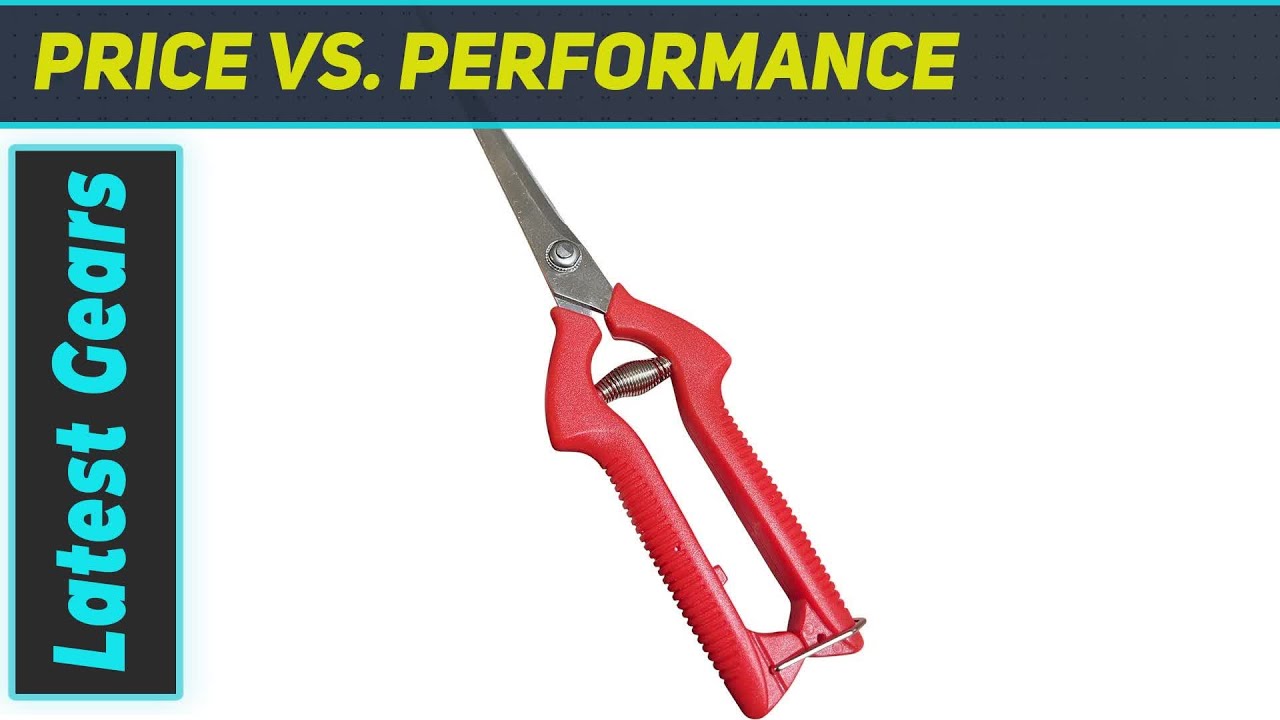 Garden Guru Extra Long Stainless Steel Pruner &ndash; Best Tool for Precision Trimming