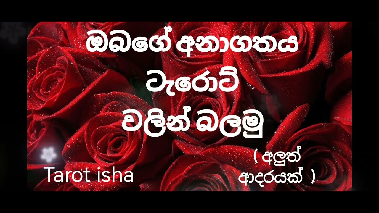 ඔබගේ අනාගතය ගැන ටැරොට් වලින් බලමු tarot reading 
