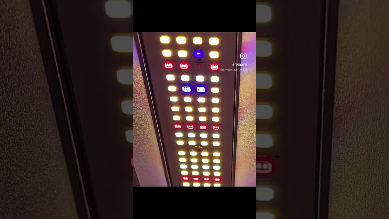 🚨 Slim Killa-Watt 500 Bloom🚨 #opticledgrowlights