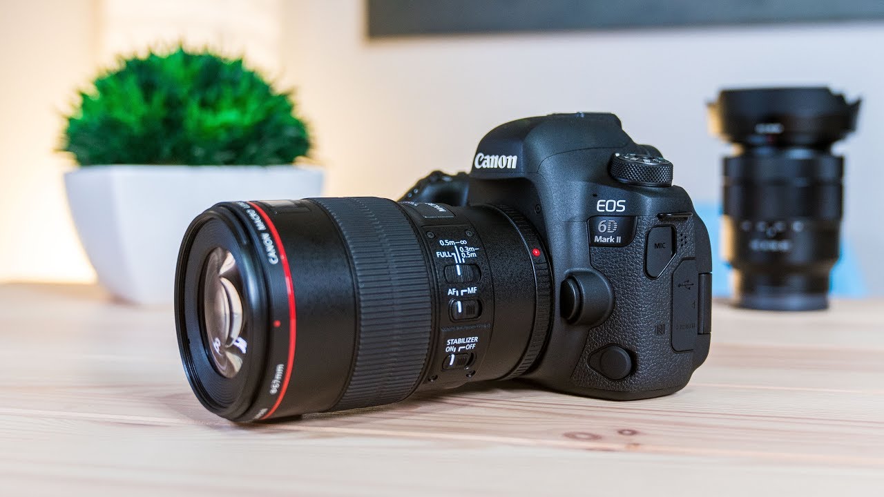 Canon 6D MKII Review: The Good and Bad