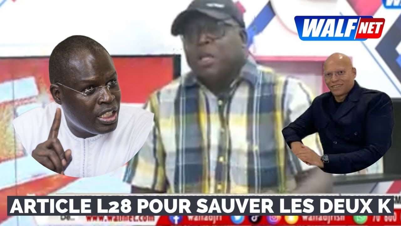 Vote articles L28-L29 : quand la loi est utilis&eacute;e pour r&eacute;habiliter ou invalider des candidats