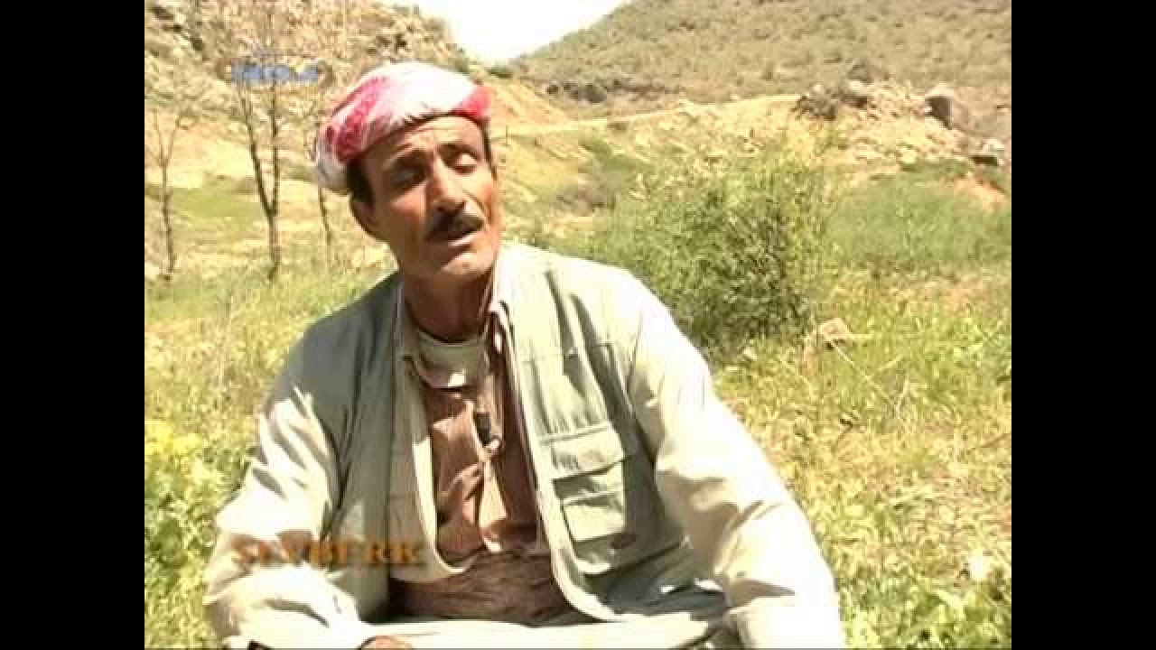 شكرىريكانى 1995