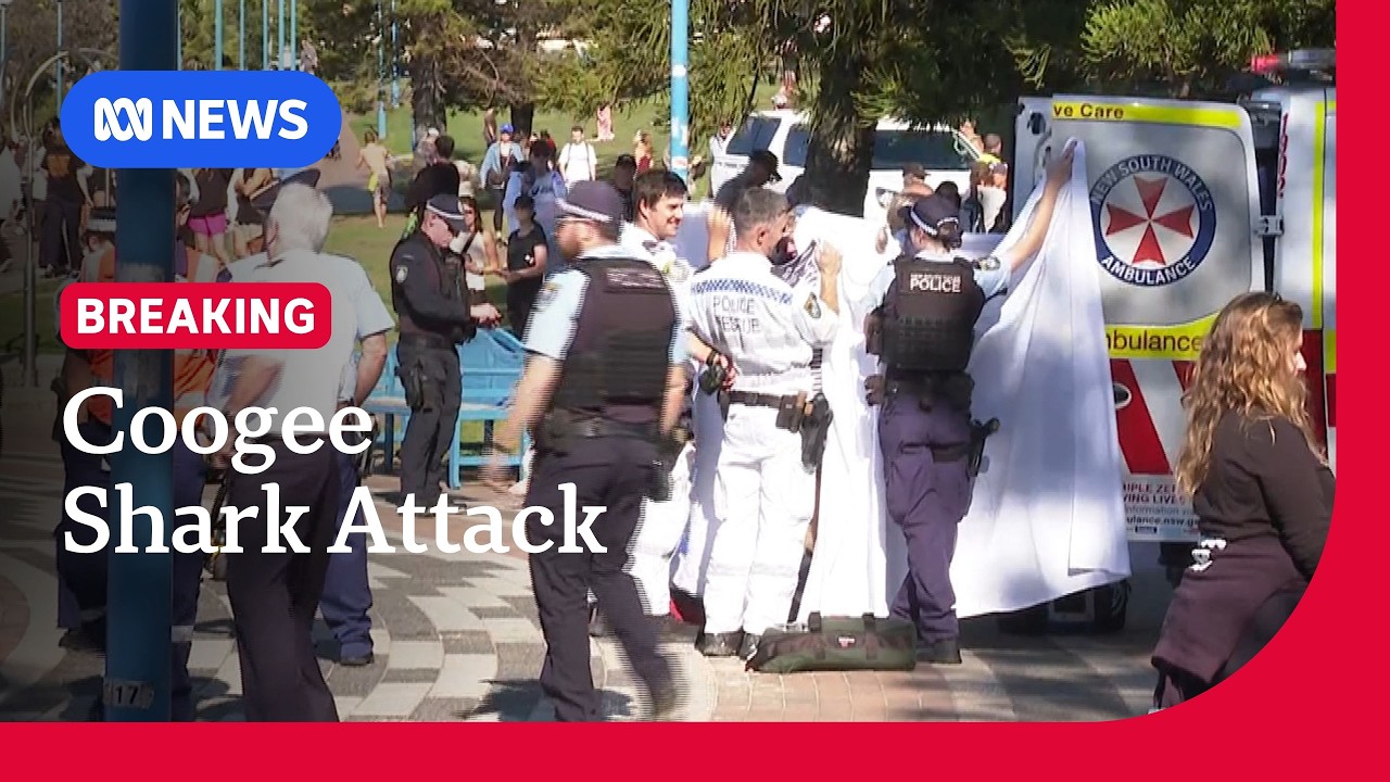 Woman in critical condition after shark attack at Coogee Beach | ABC NEWS