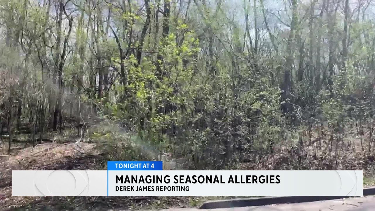 Digital update: How to deal with chronic allergies
