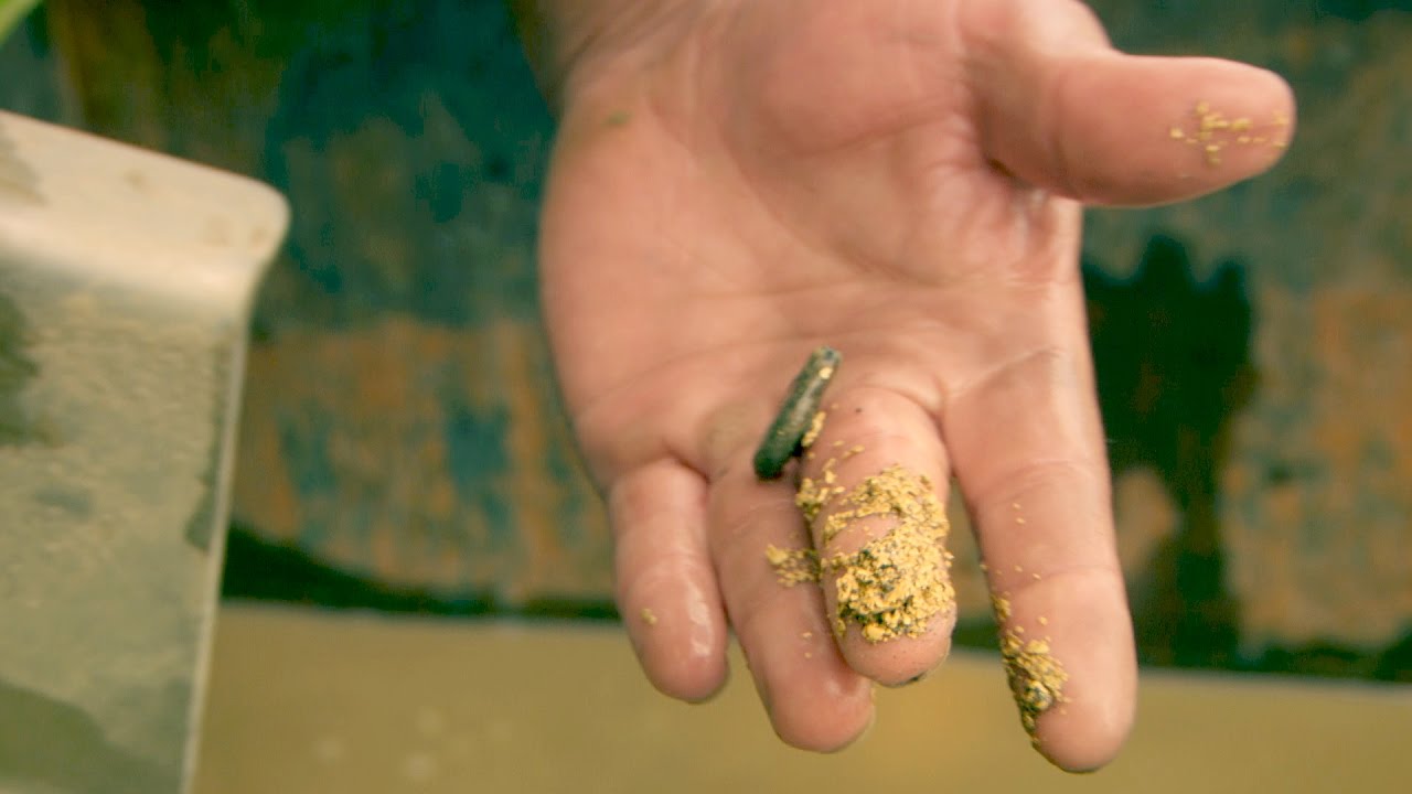 Look at That Chunky Gold In Parker's Sluicebox! | Gold Rush