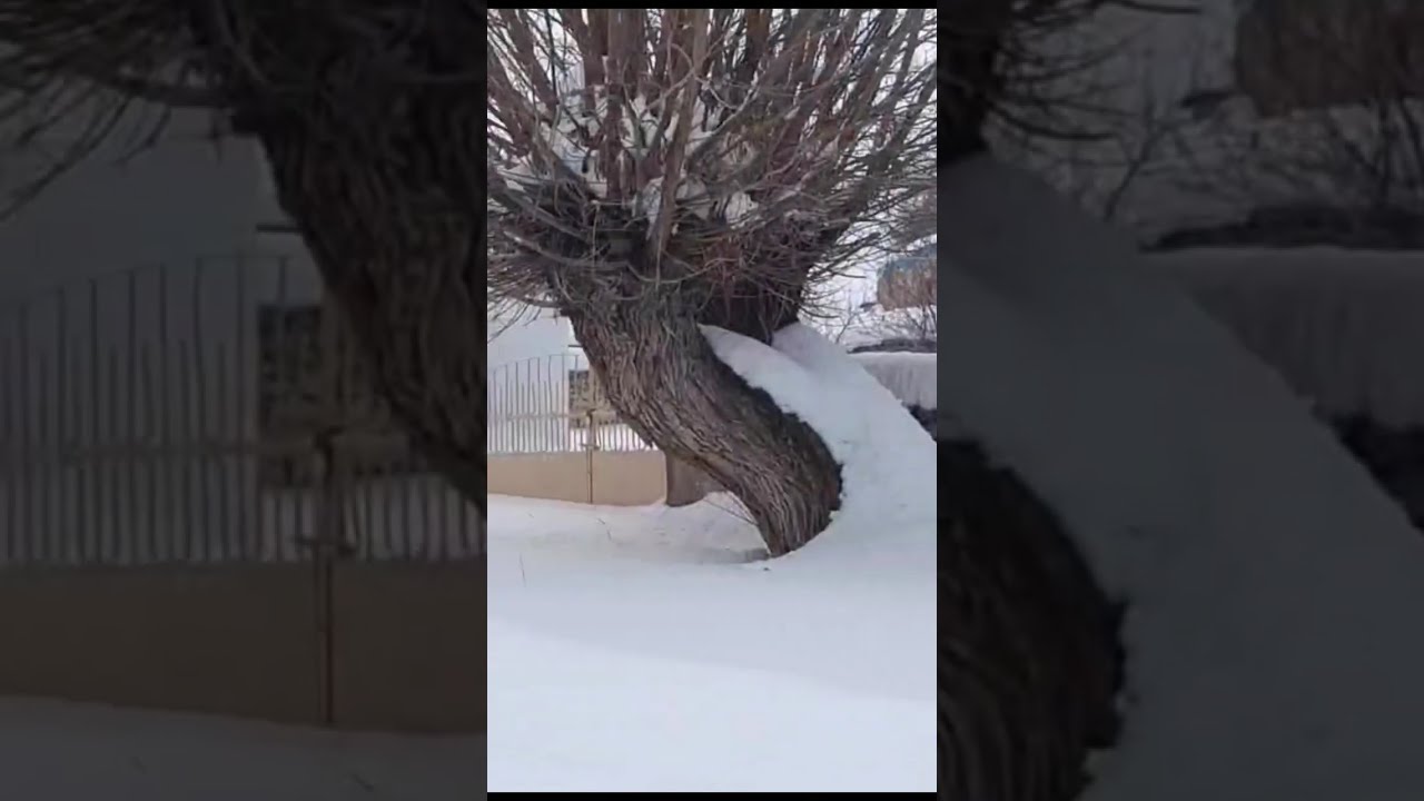 Kayseri Sarız Kar yağışı 