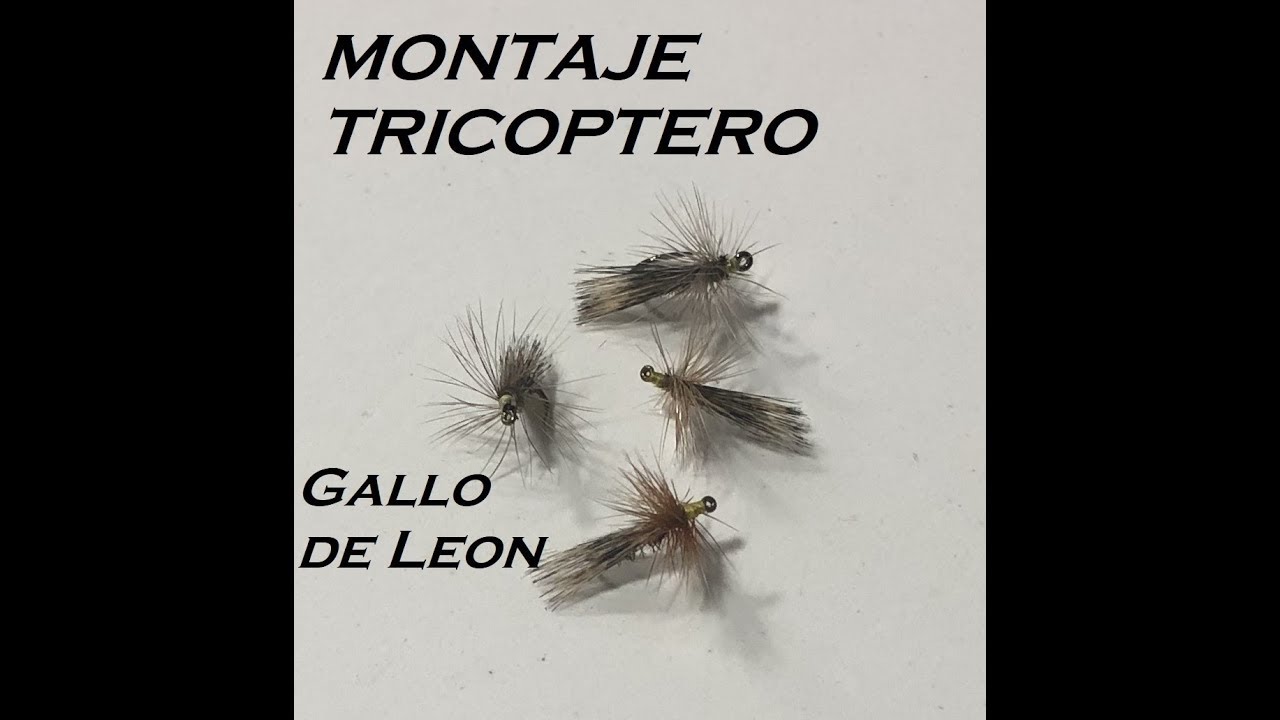 MONTAJE TRICOPTERO PLUMA DE LEON