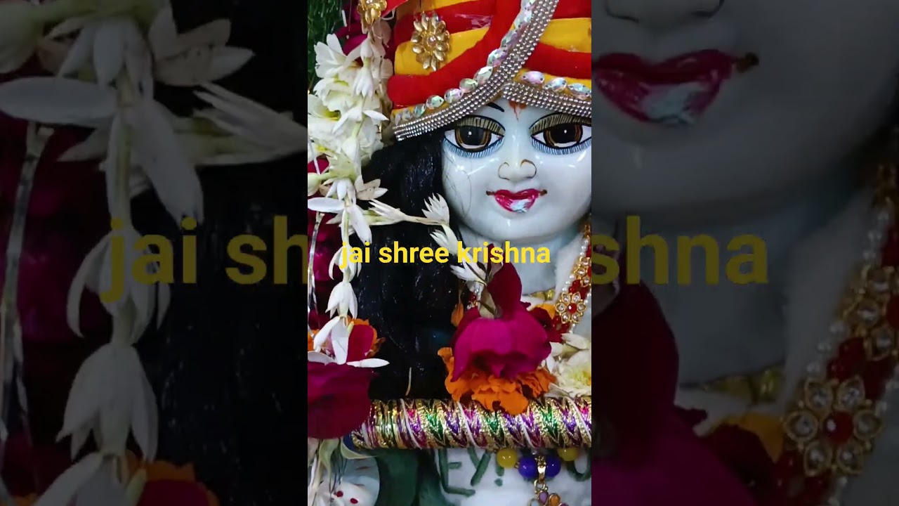 krishna Birthday celebration at North x township sogriyA kota