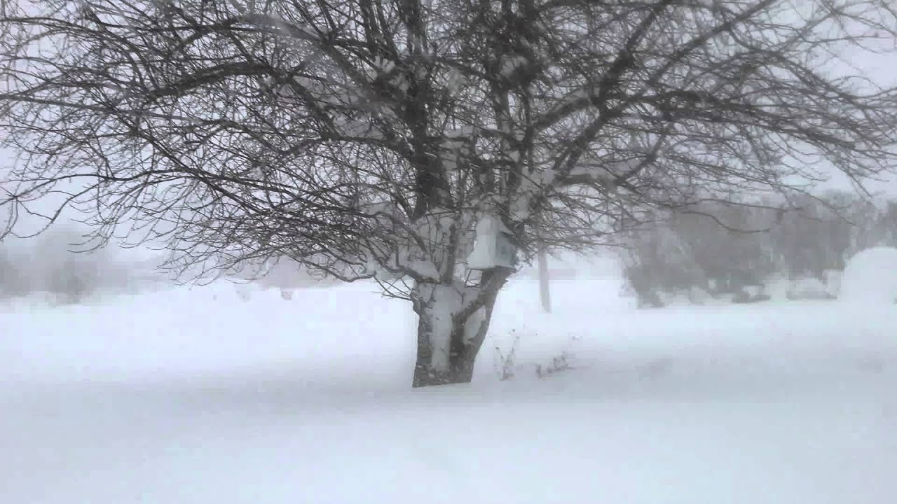 11/20/14 Buffalo Blizzard Day 3