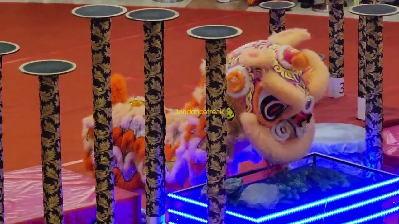 2024 Malaysia National Championship - Southern - 麻坡关圣宫龙狮团 Muar Kun Seng Keng