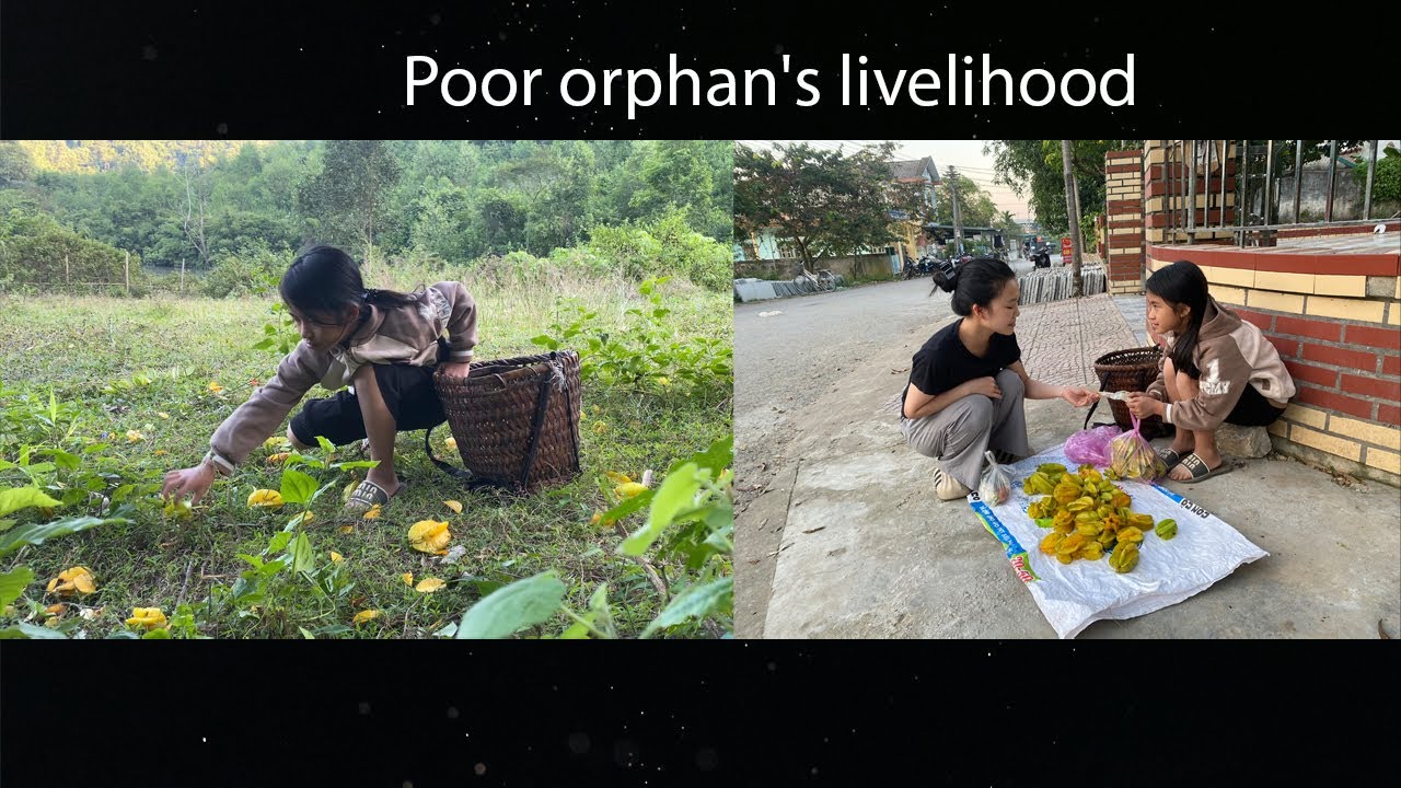 The orphan girl picked star fruit to sell and the neighbor taught her to ride a bicycle.