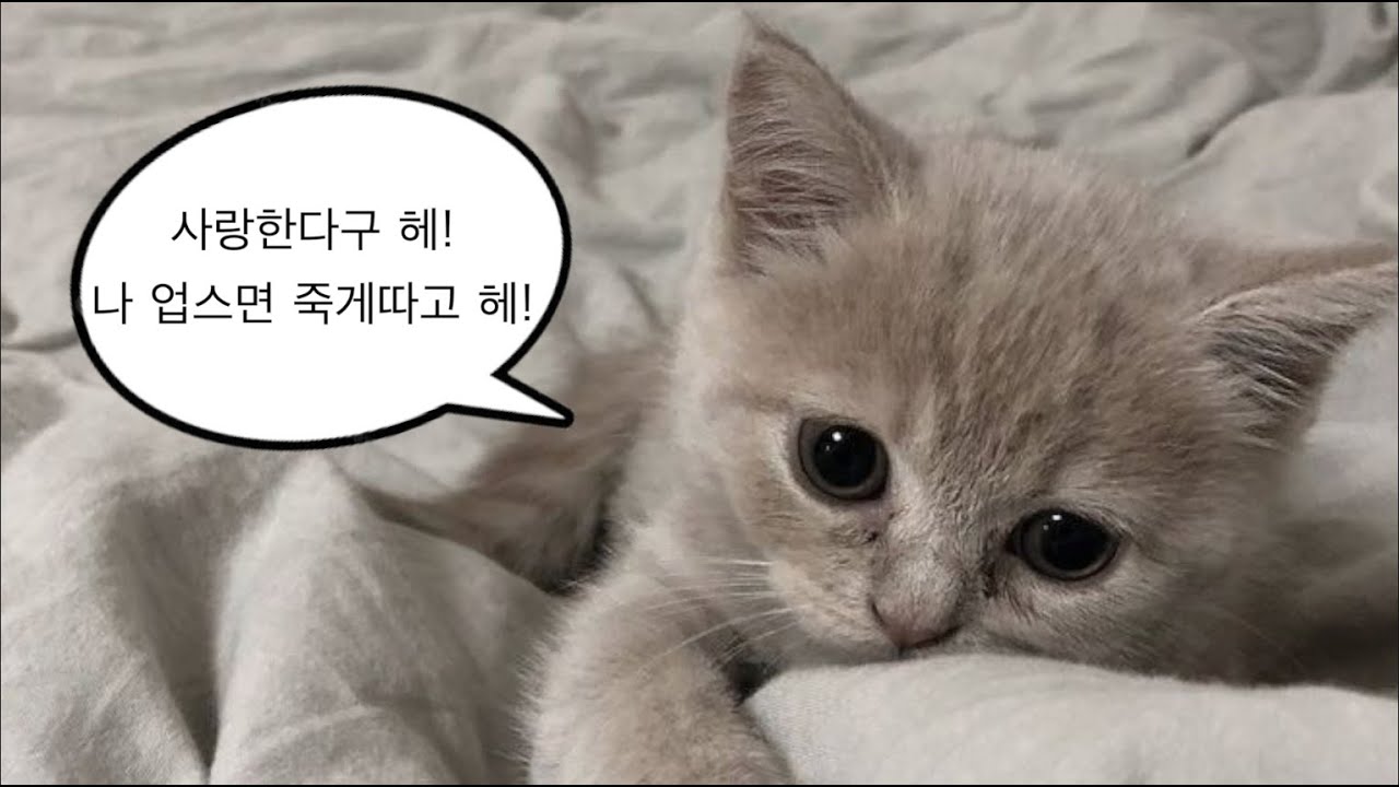 Playlist | 멸종위기사랑❣️ | 2026 겨울수련회 찬양 플리 l