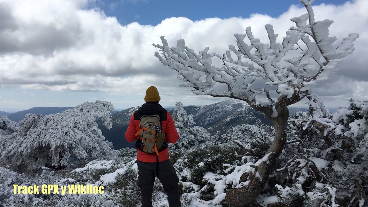 Subida a Cerro Ventoso desde las Dehesas de Cercedilla | Valle de la Fuenfría | Sierra de Guadarrama