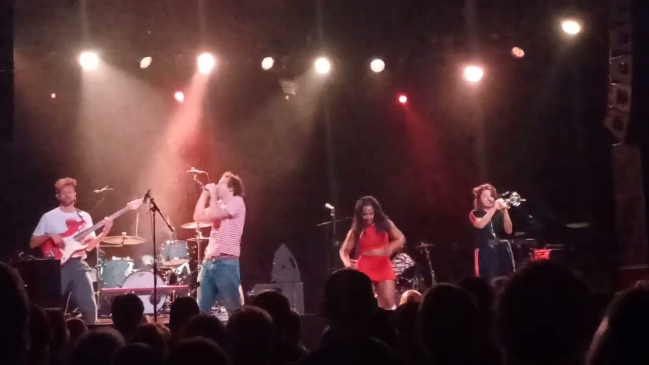 The Go! Team - 