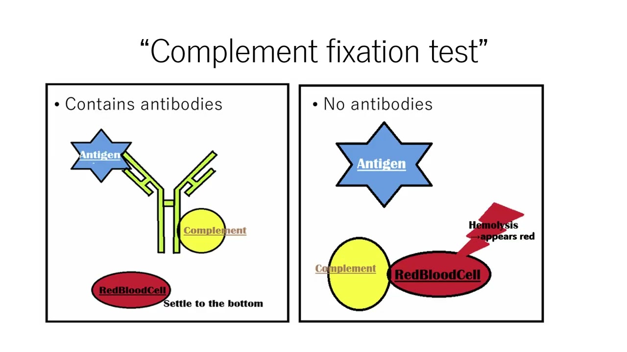 【再々】0113 G19 Complement fixation
