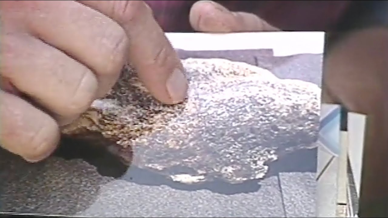 $100k Gold Nugget found in Georgia by GPAA Member - GPAA Archives