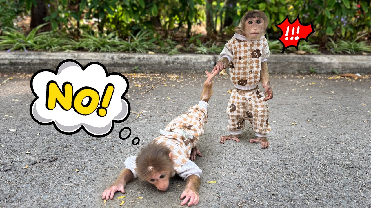 Just when things were fun, Sunny left early — Lucky’s reaction was surprising!