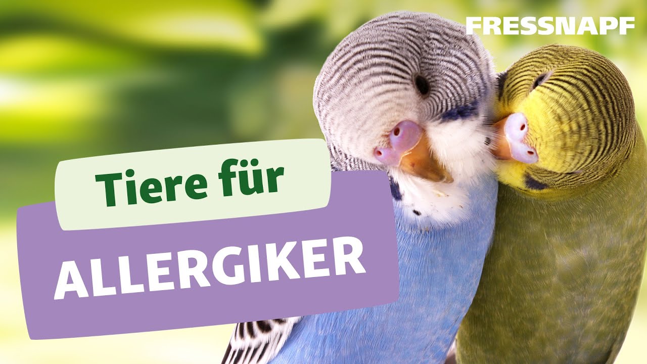 Geeignete Tiere f&uuml;r Allergiker