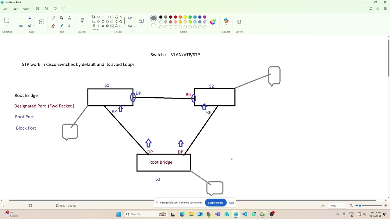 Networking Session 8 What is Swirching ,Stp ,VLAN || in hindi & english || by rakesh gautam