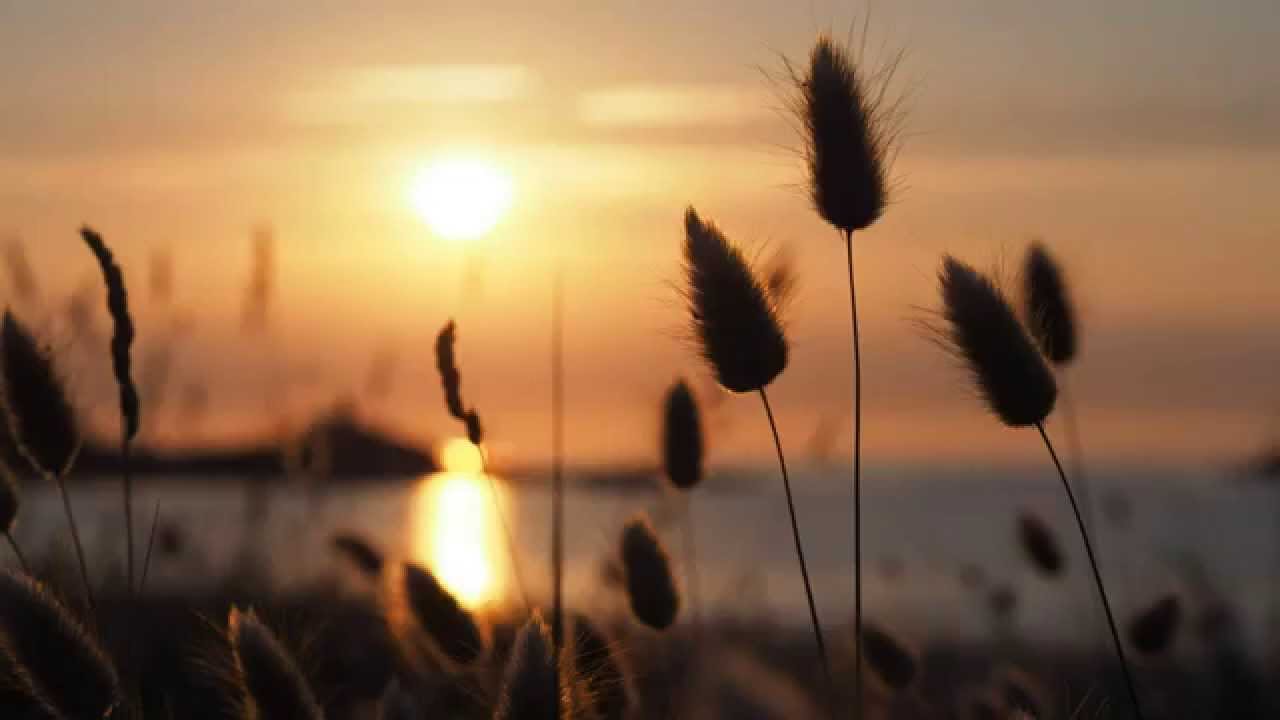 André Rieu  -  And The Waltz Goes On