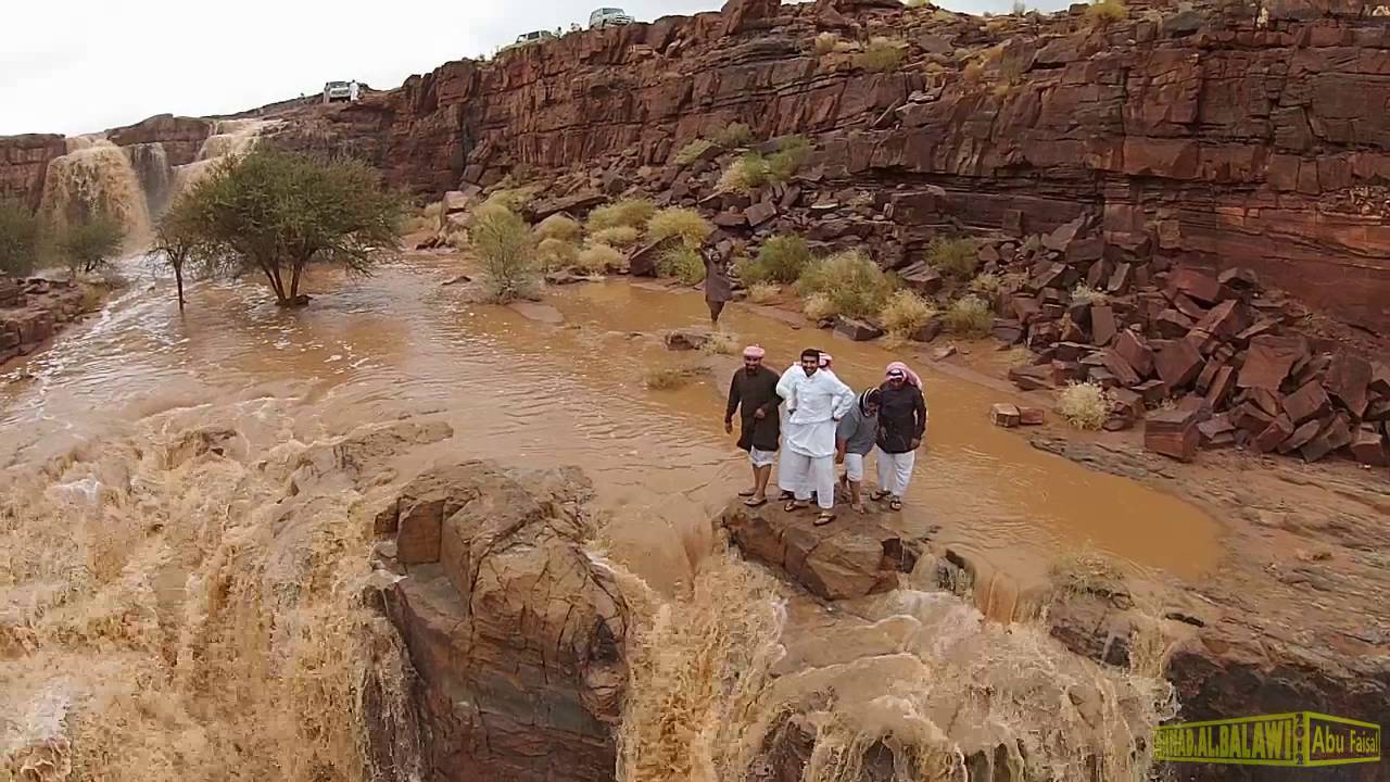 شتاء وربيع منطقة تبوك 1437 هـ