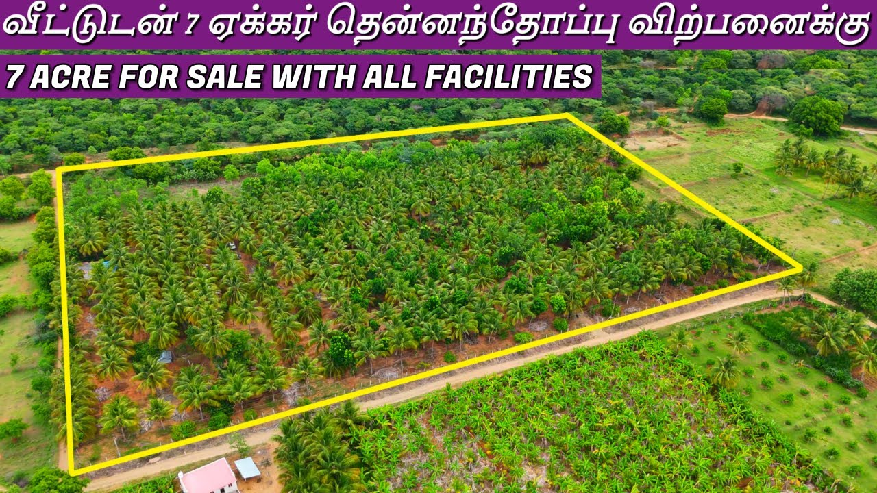 7 ACRE FOR SALE | வீட்டுடன் 7 ஏக்கர் தென்னந்தோப்பு விற்பனைக்கு #realestate #best #coconutfarm #land