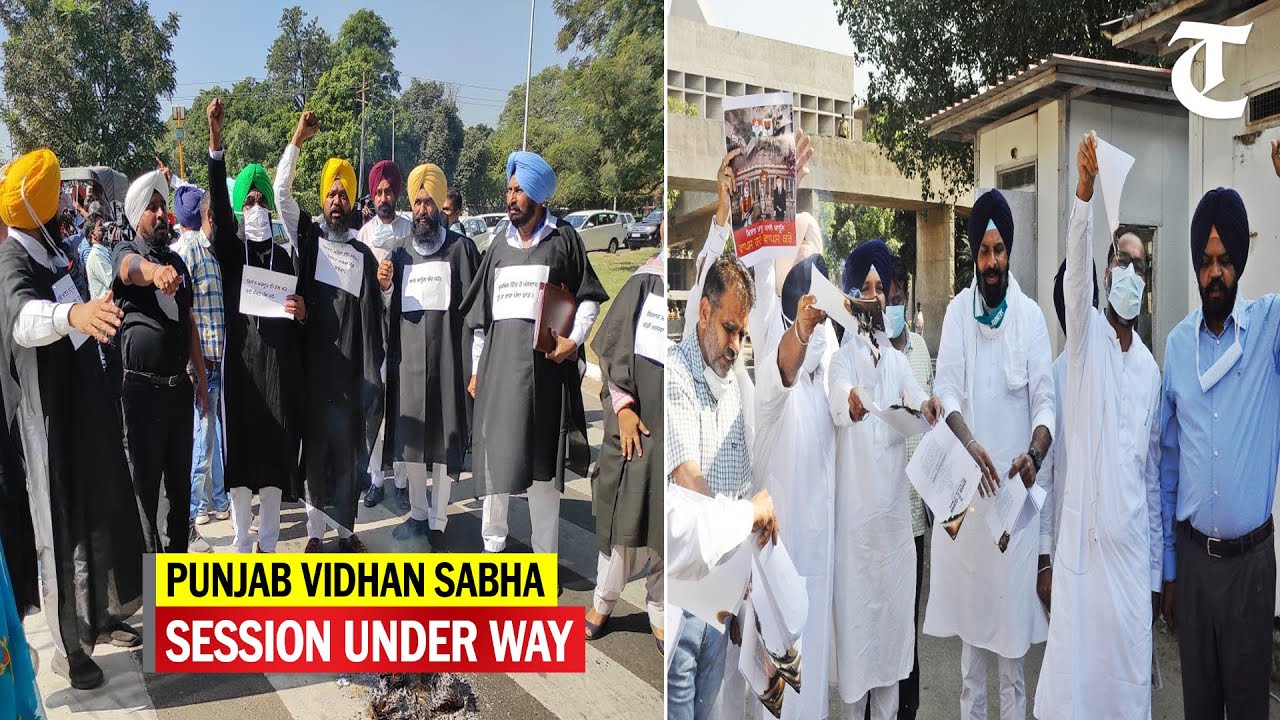 Special session of Punjab Vidhan Sabha: SAD MLAs arrive riding tractors, AAP wearing black capes