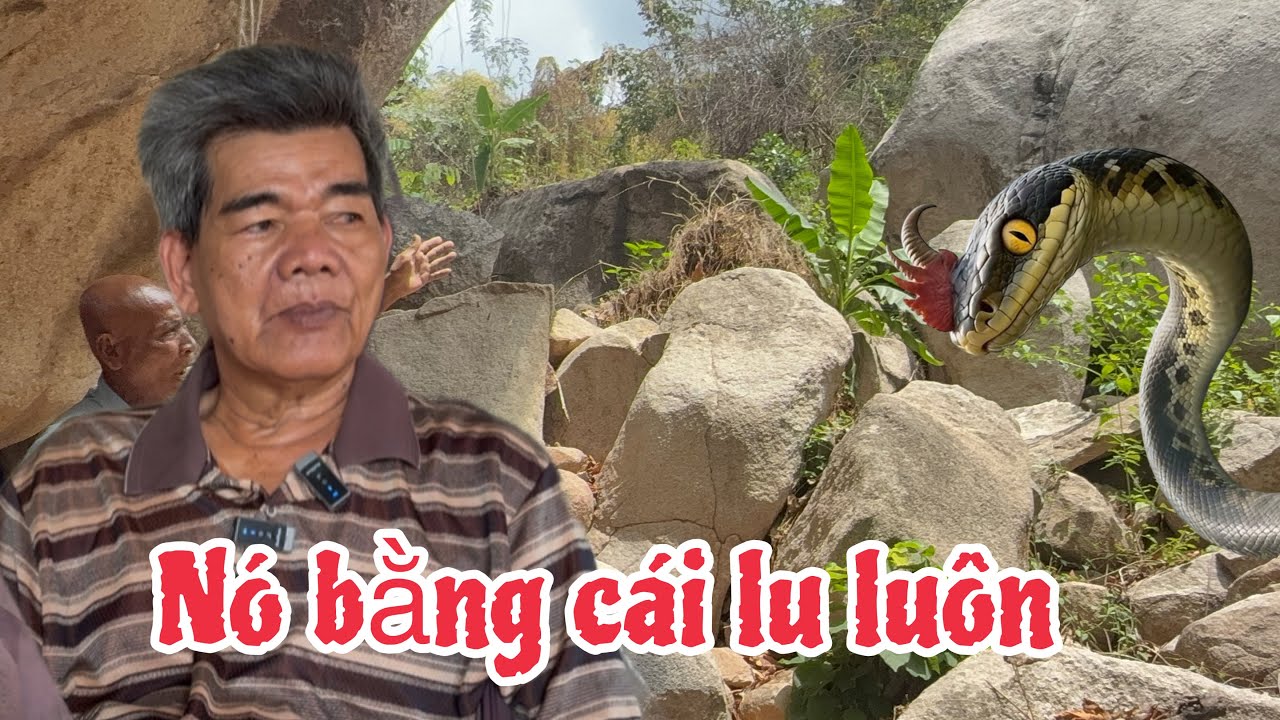 Chấn động người dân núi tượng kể lại từng chứng kiến gặp rắn hổ mây khổng lồ