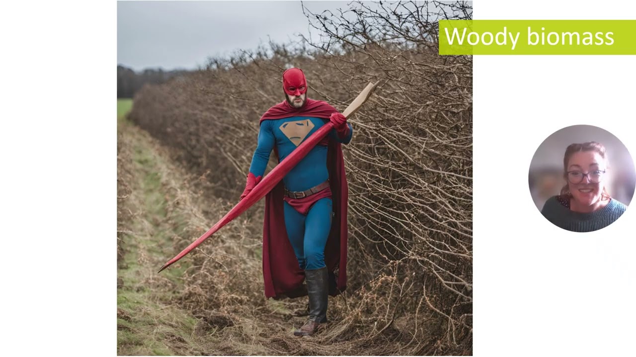 Hedgerows and Climate Change