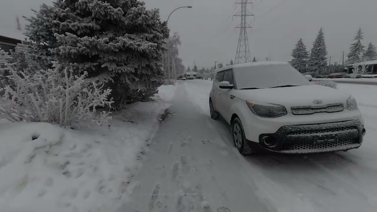 Calgary Alberta | Extreme Cold Walking -25°C | Snowy Day | Frozen Ground | Hoar Frost & All Whiteout