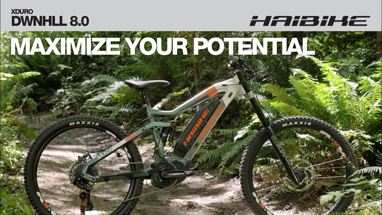 2020 Haibike XDURO DHNHLL 8.0