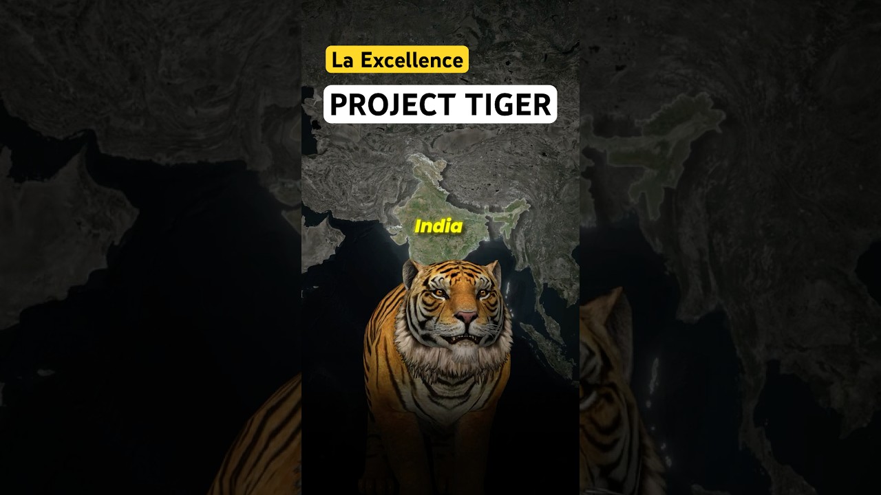 Why did India start the Project Tiger?