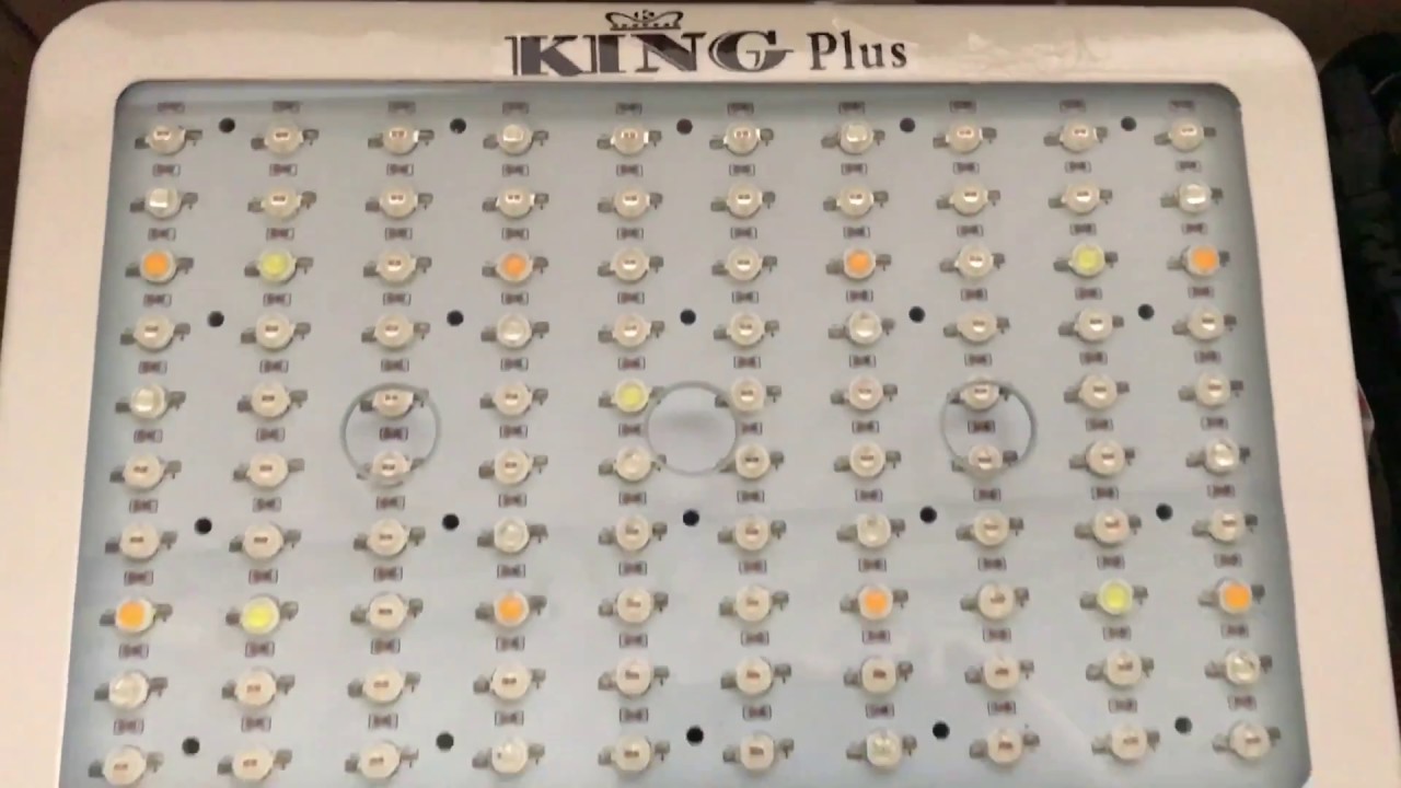 King Plus 1000w LED Grow Light