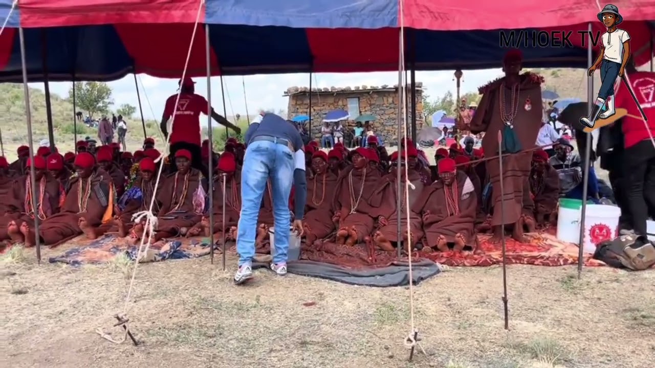 Makoetje (nkatlama likataba ka tsa maea) makoloane a Mafeteng 
