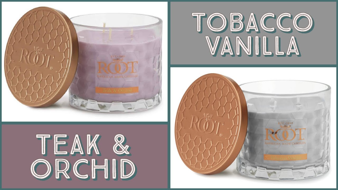 Tobacco Vanilla 🍩 and Teak & Orchid from Root Candle review
