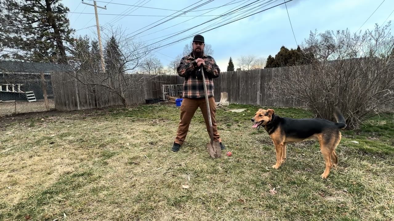 Are Smith & Rogue Hemp Canvas Pants Actually Good? (Honest Review)