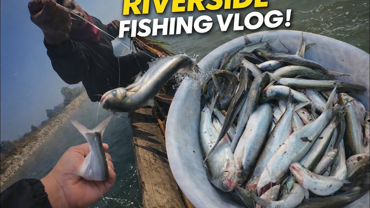 आजको भिडीयो खत्त्रा #riverside #fishing ##youtubeshorts #viralvideo #flyp #goviral #foryou 