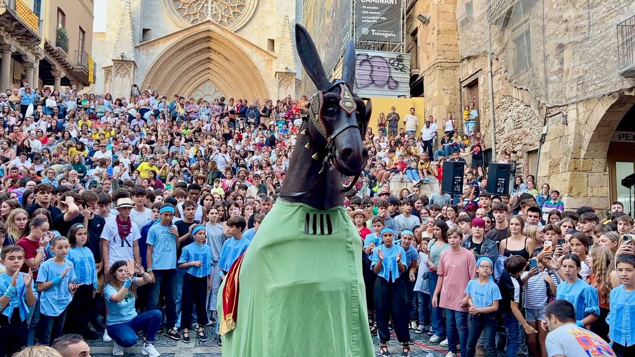 TOT EL BESTIARI del CERCAVILA de la SANTA TECLA PETITA (Festes de Santa Tecla 2024 Tarragona)