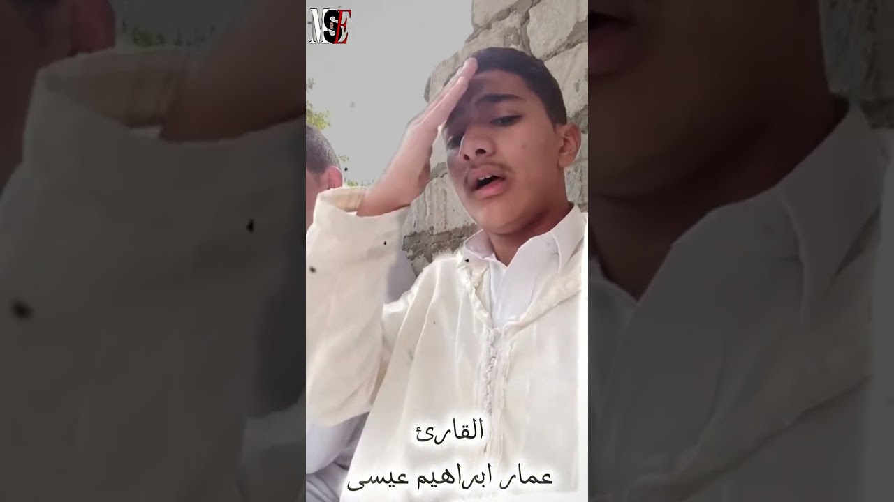 القارئ عمار ابراهيم عيسى 
