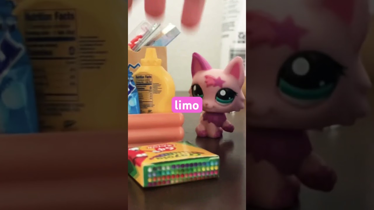 Mini brands and littlest pet shop! Pt.1 