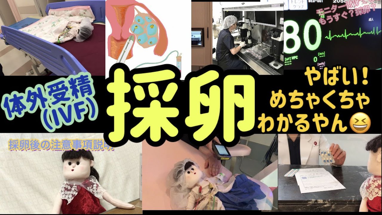 「体外受精(IVF) 採卵当日～後編～」『POSITIVE 妊活！』シリーズ　IVFなんばクリニック
