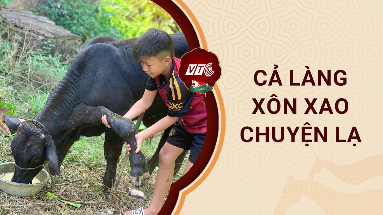 Thời sự nổi bật 18/2: Chuyện lạ Thanh Hóa: Con bò kỳ dị mọc tới 6 chân, cả làng xôn xao