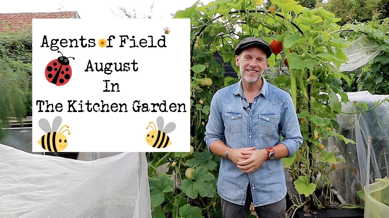 August in the Kitchen Garden