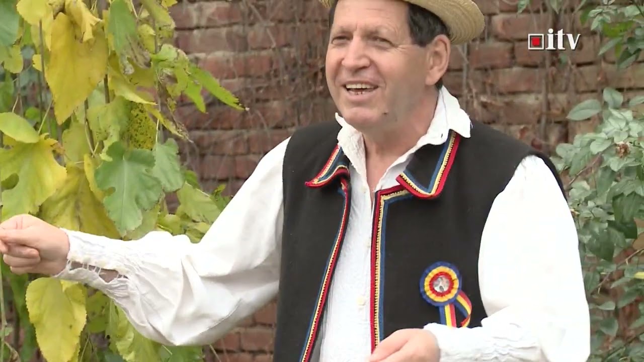 MUZICĂ POPULARĂ GHIȚĂ BLIDAR