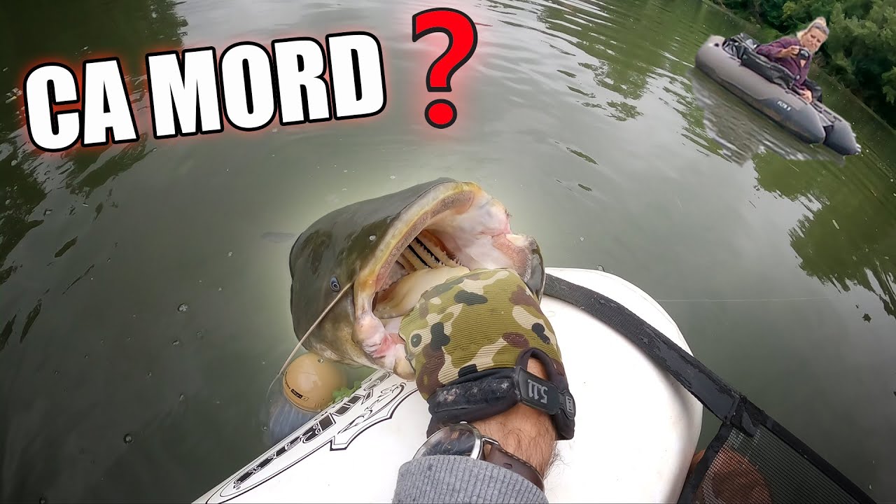 FISHING for GIANT CATFISH ! (These guys bite just under our feet !)